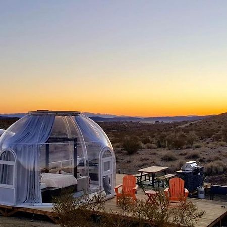 Jthavn-Joshua Tree Remote Dessert Bubble Dome Luaran gambar