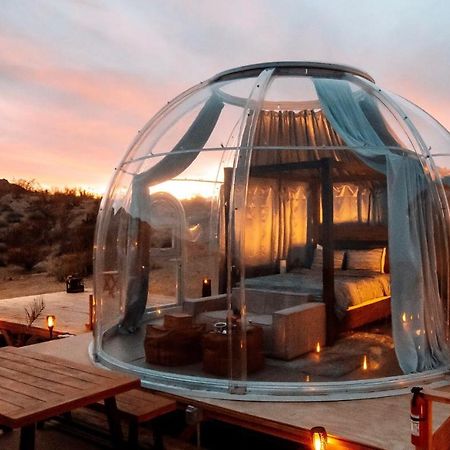 Jthavn-Joshua Tree Remote Dessert Bubble Dome Luaran gambar