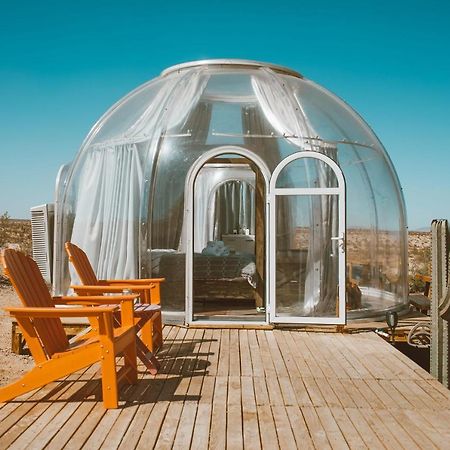 Jthavn-Joshua Tree Remote Dessert Bubble Dome Luaran gambar