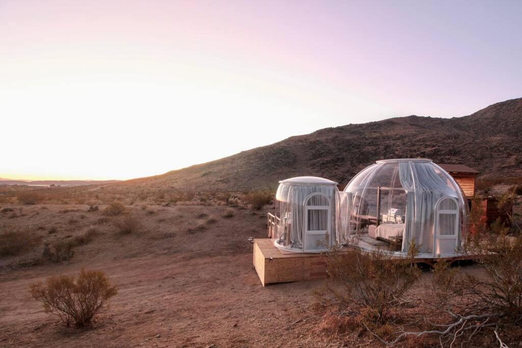 Jthavn-Joshua Tree Remote Dessert Bubble Dome Luaran gambar