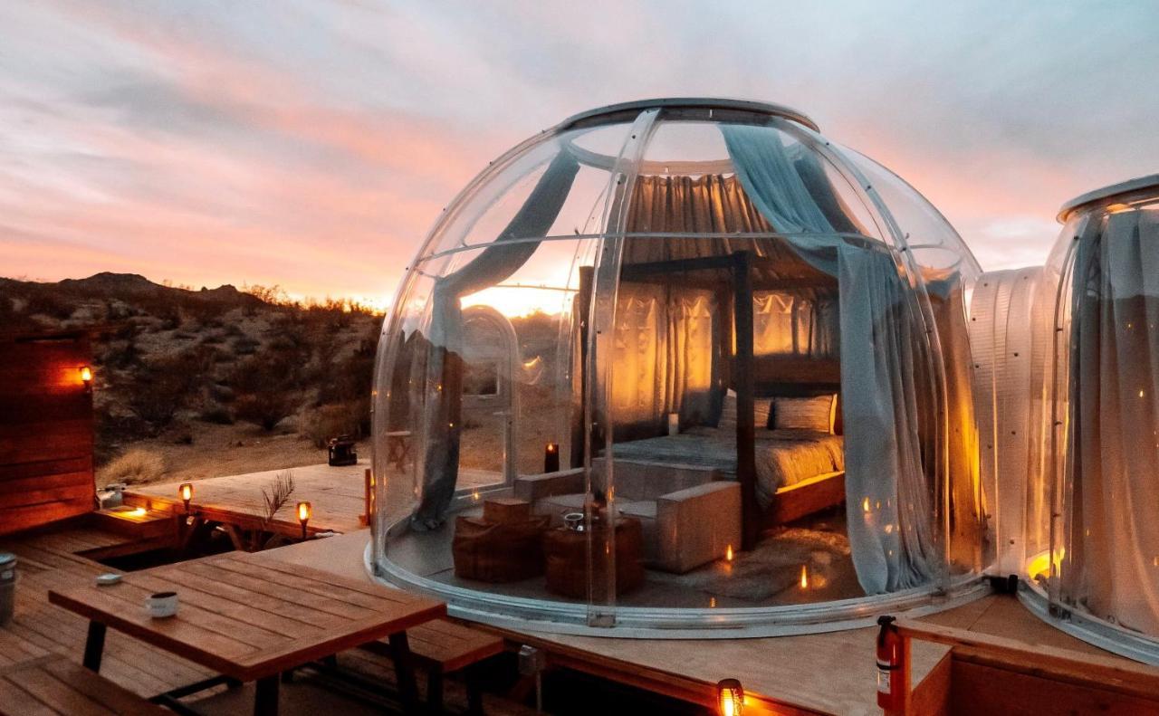 Jthavn-Joshua Tree Remote Dessert Bubble Dome Luaran gambar