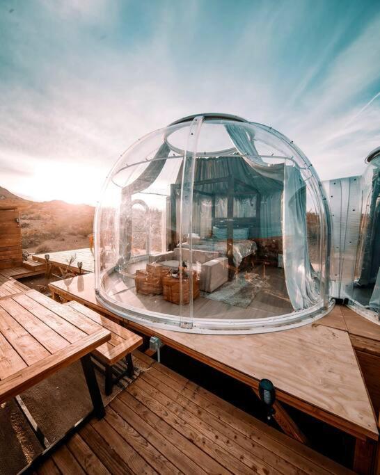 Jthavn-Joshua Tree Remote Dessert Bubble Dome Luaran gambar