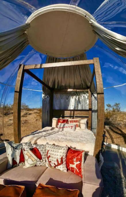 Jthavn-Joshua Tree Remote Dessert Bubble Dome Luaran gambar