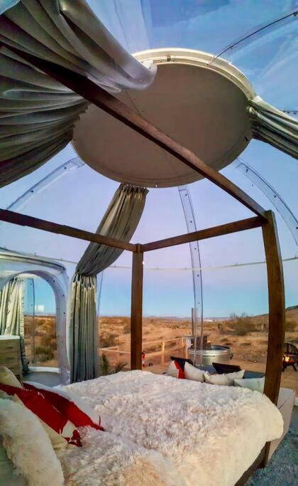 Jthavn-Joshua Tree Remote Dessert Bubble Dome Luaran gambar