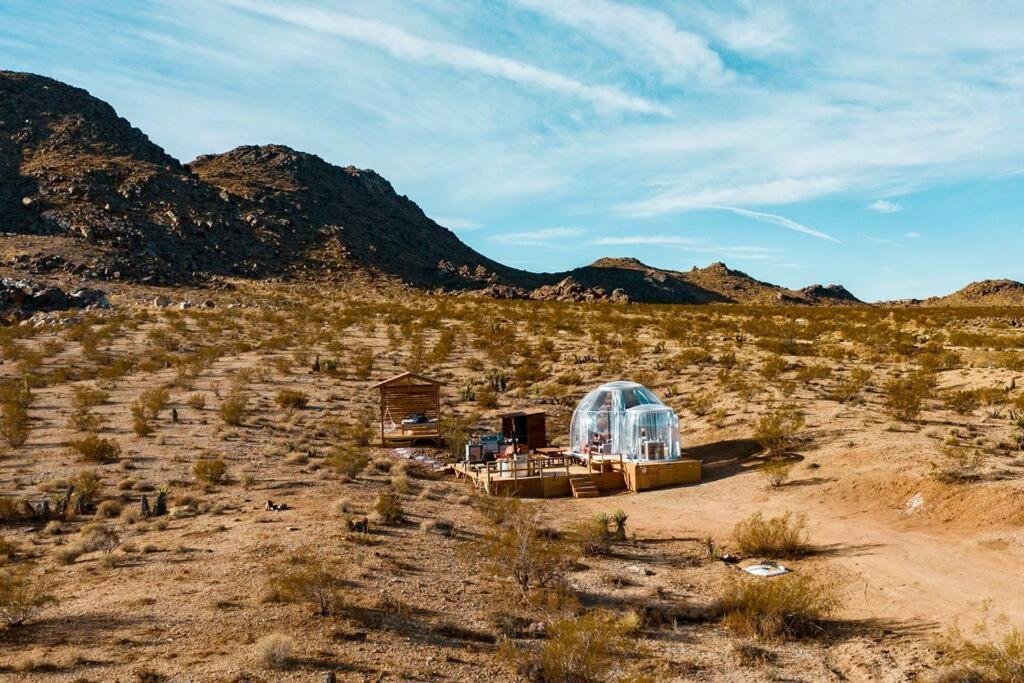 Jthavn-Joshua Tree Remote Dessert Bubble Dome Luaran gambar