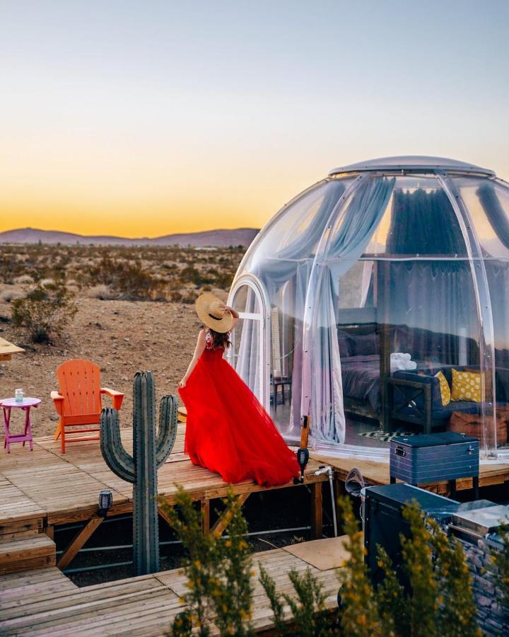Jthavn-Joshua Tree Remote Dessert Bubble Dome Luaran gambar