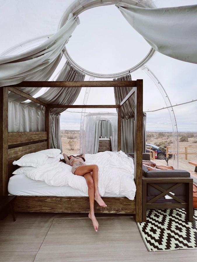 Jthavn-Joshua Tree Remote Dessert Bubble Dome Luaran gambar