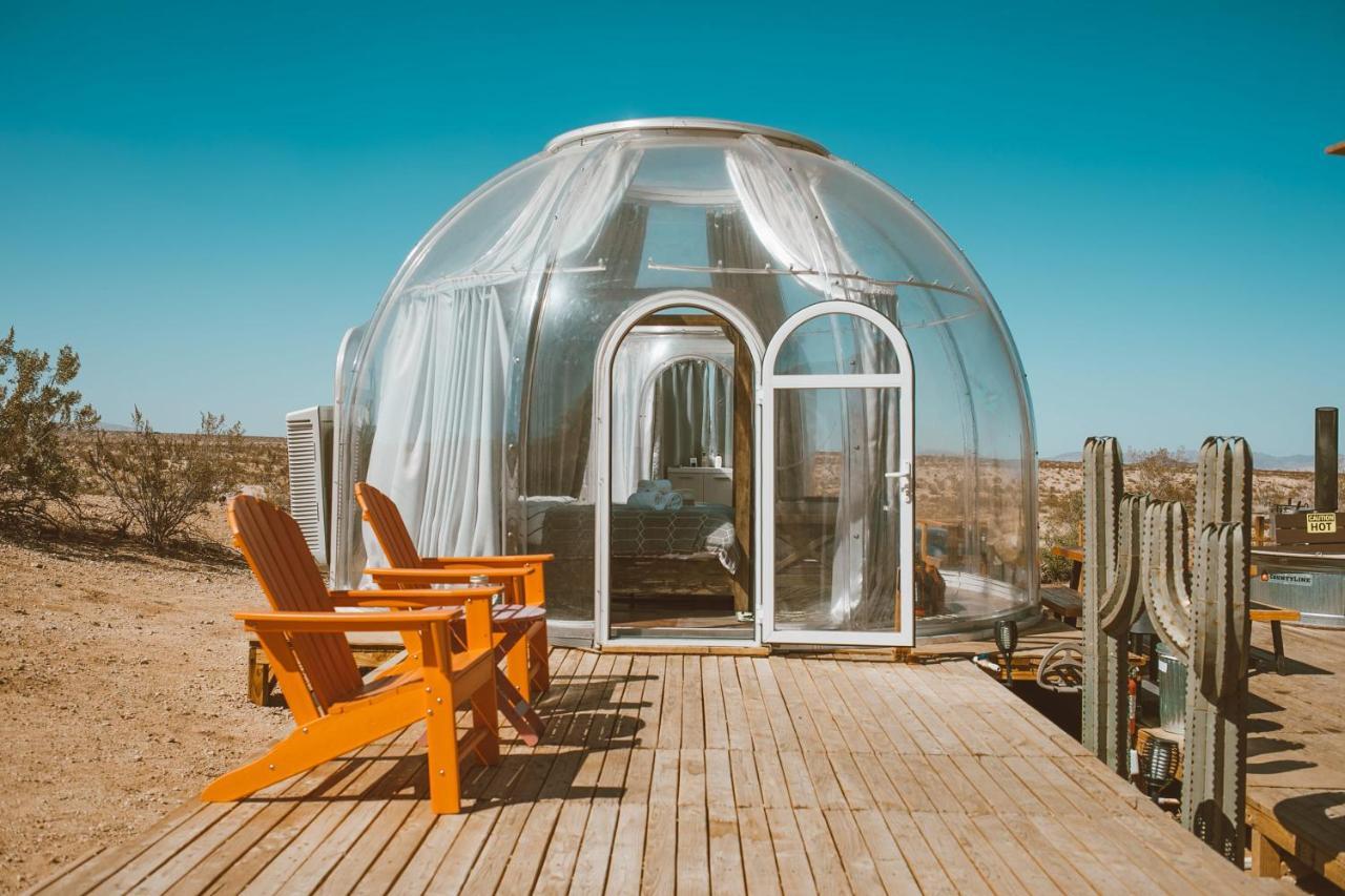 Jthavn-Joshua Tree Remote Dessert Bubble Dome Luaran gambar